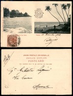 24152 ESTERO - CEYLON - 2 Cent (58) - Su Cartolina Illustrata Da Colombo A Macerata Del 11.12.02 - Autres & Non Classés