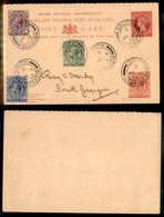 24289 ESTERO - FALKLAND - Cartolina Postale Con Complementari - South Georgia 7.6.13 - Sonstige & Ohne Zuordnung