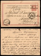 24459 ESTERO - GERMANIA - Hagenau Zabern - Intero Postale Da 10 Pfennig Per Nancy Del 24.7.83 - Andere & Zonder Classificatie