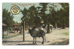 Scenes From The Zoo, Grant Park, Atlanta, Georgia Mark On The Back - Atlanta