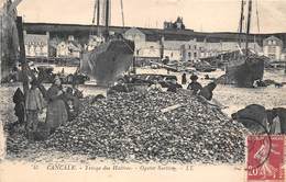 35-CANCALE- TRIAGE DES HUITRES - OYSTER SORTING - Cancale