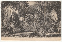 Guinée - CONAKRY - Jardin Public - Fortier 396 - Guinée Française