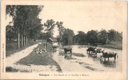 18 - BRINON  - Sologne - Les Bords De La Sauldre - Brinon-sur-Sauldre