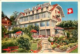 Suisse - Ref D277- Hotel Schonbuhl Hilterfingen - Thunersee - Carte Bon Etat - - Hilterfingen