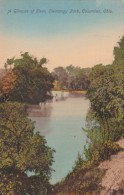 Ohio Columbus Glimpse Of River In Olentangy Park 1909 - Columbus