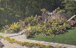 Alabama Mobile Blooms At River Terrace Bellingrath Gardens 1950 - Mobile
