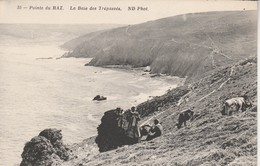 29 - PLOGOFF - Pointe Du Raz - La Baie Des Trépassés - Plogoff