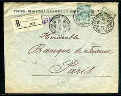 Italie - Enveloppe Commerciale En Recommandé De Torino Pour Paris En 1917 - Marcophilie