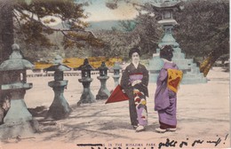 JAPON CARTE POSTAL DE HIROSHIMA  IN THE MIYAJIMA PARK - Hiroshima