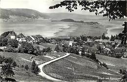 Suisse - Ref D219- Cerlier Et L Ile De St Pierre - Erlach Und Petersinsel - Carte Bon Etat - Cerlier