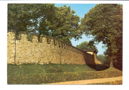 6380 BAD HOMBURG, Römerkastell Saalburg, Ostseite Der Umwehrung - Saalburg