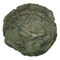 Monnaie, Nemausus, Bronze, Nîmes, TTB, Bronze, Latour:2698 - Celtic