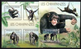 Serie De Chimpances  + Hb Chimpance  De Burundi 2012 - Scimpanzé