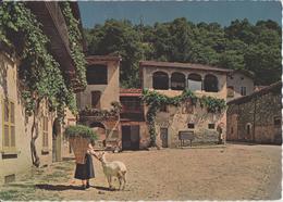 Sessa (Malcantone) Ziege Chevre Goat - Photo: Engelberger - Malcantone