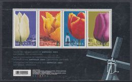 Delcampe - Canada BF N° 63 XX "Amphilex '2002" Exposition Philatélique Internationale à Amsterdam, Le Bloc Sans Charnière, TB - Blocks & Kleinbögen