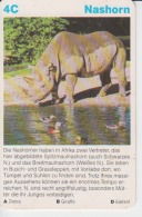 Rhinoceros Small Size Card, With Text, Size 100/65 Mm - Rhinocéros