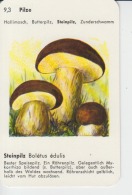 Mushrooms Small Size Card, With Text, Size 100/65 Mm - Mushrooms