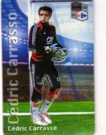 Magnet Magnets Football Carrefour Equipe France En Relief Cedric Carrasso - Sports