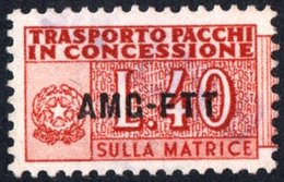 TRIESTE, ZONA A, ITALIA, ITALY, PACCHI IN CONCESSIONE, PARCEL TRANSPORT, 1953, FRANCOBOLLO USATO Michel GB1   Scott QY1 - Colis Postaux/concession