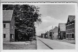 Hamse Steenweg Beverlo - Beringen