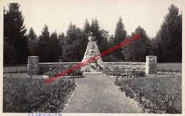 Monument Roi Albert - Camp D'Elsenborn - Bütgenbach - Butgenbach - Buetgenbach