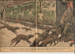 Bosnie Loups Revue Le Pélerin N° 2346 De 1922 - Other & Unclassified