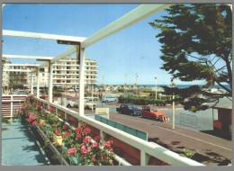 CPM 66 - Canet Plage - Vue Sur Le Front De Mer - Canet En Roussillon