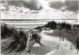 SAINT TROJAN Les BAINS -  Dunes De La Côte Sauvage - Grande Plage - Ile D'Oléron