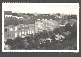 Boom - Gesticht O. L. Vr. Presentatie - Kost- En Beroepsschool : Klassen - Nels Bromurite - Nieuwstaat - Boom