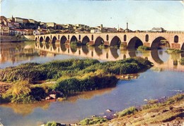 ZAMORA. Puente Sobre El Duero - Zamora