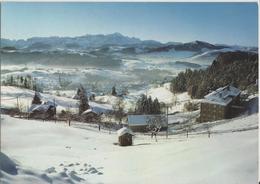 Teufen - Blick Zum Alpstein Mit Säntis Im Winter En Hiver - Photo: Gross - Teufen