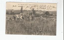 FEYZIN (RHONE) 20 COLLINE DE BEAUREGARD (VACHES BROUTANT) 1918 - Feyzin