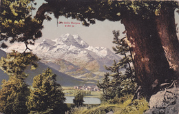 SUISSE,HELVETIA,SWISS,SWITZERLAND,SVIZZERA,SCHWEIZ,GRISONS,SILVAPLANA,ENGADIN - Silvaplana