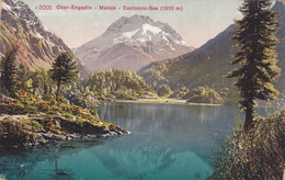 Suisse,helvetia,swiss,schweiz,svizzera,switzerland ,GRISONS,lac De Sils,ober Engadin,MALOJA,CAVLOCCIO SEE - Autres & Non Classés