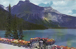 Canada >British Columbia > Kamloops, Emerald Lake + Mt. Michael, Used 1998 - Kamloops