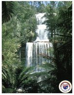 (595) Australia - TAS - Russells Falls - Wilderness
