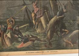 Requins Catastrophe Revue Le Pélerin N° 1720 De 1909 - Other & Unclassified