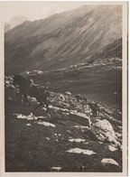 Photo Originale Beau Format XIXème Chasseurs Alpins Convoi Hautes Ou Basses Alpes - Ancianas (antes De 1900)