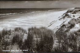 Nederland  - Postcard Unused  -  Ameland - Ameland, Sea, Dune And Beach - Ameland