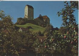 Schloss Sargans - Photo: Geiger - Sargans