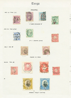 1353 TONGA - Study Of Cancelations : Collection Of 172 Classic Stamps On Exhibition Pages With Small P.O, Maritime & FOR - Tonga (...-1970)