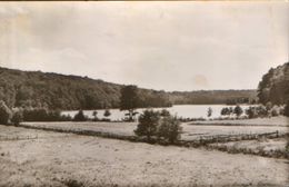 Germany - Postcard Unused - Boltenmuhle - Am Tornowsee - Neuruppin