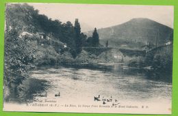 BIDARRAY - La Nive, Le Vieux Pont Romain Et Le Mont Gakueta - Bidarray