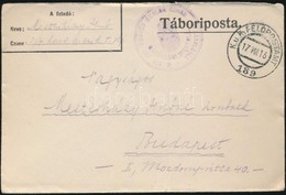 1916 Tábori Posta Levél / Field Post Cover 'M.KIR 307. HONVÉD GYALOG EZRED ZÁSZLÓALJ GAZDASÁGI HIVATALA' + 'FP 189' - Andere & Zonder Classificatie