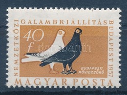 ** 1957 Galamb 40f Er?sen Elfogazva - Altri & Non Classificati