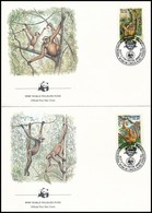 1984 WWF: Majmok Sor 2 Db FDC-n Mi 2052-2053 - Andere & Zonder Classificatie