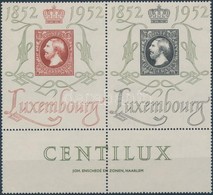 ** 1952 Nemzetközi Bélyegkiállítás; 100 éves A Luxemburg-i Bélyeg üresmez?s Pár Mi 488-489 - Autres & Non Classés