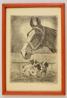 Olvashatatlan Jelzéssel: Kiskutyák és A Ló. Rézkarc, Papír, üvegezett Keretben, 23×17,5 Cm - Other & Unclassified