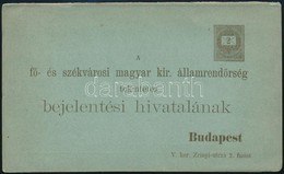 Cca 1890 Rend?rségi Kijelentési Lap, Díjjeggyel, Használatlan, Hajtásnál Szakadt - Unclassified