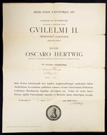 1905 Berlin, A Friedrich-Wilhelms-Universität (ma: Humboldts-Universität Zu Berlin) Hallgatói Jogviszony-igazolása Magya - Zonder Classificatie